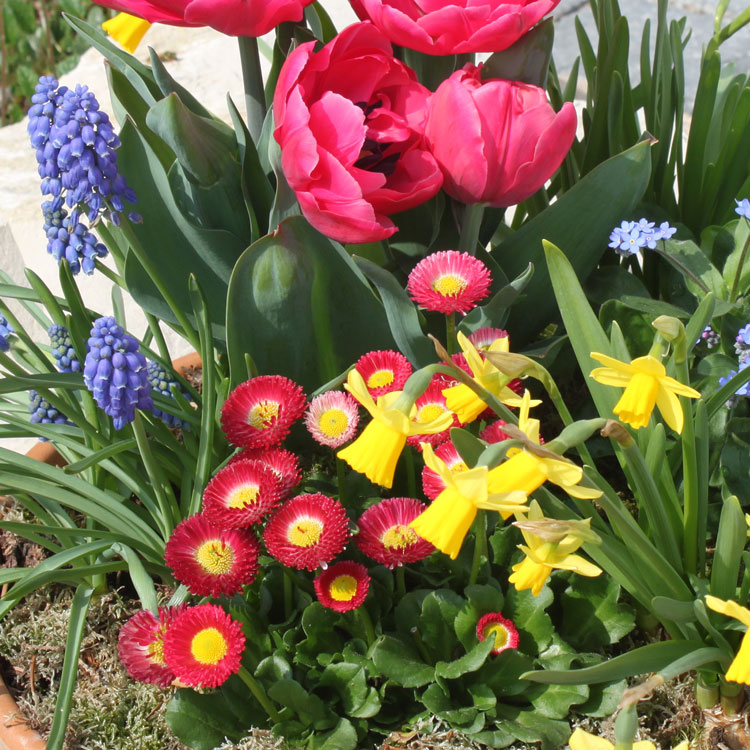 Ostern
