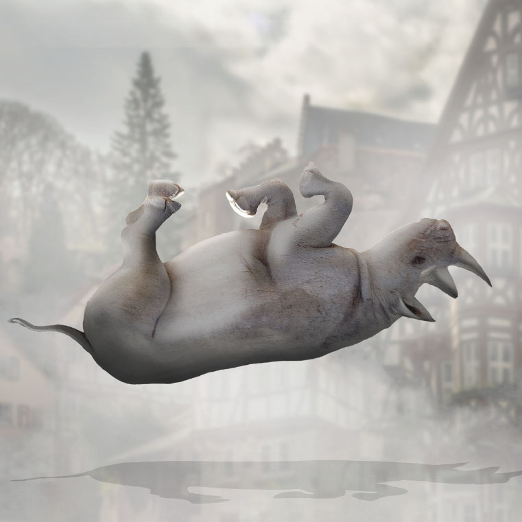 Rhinozeros