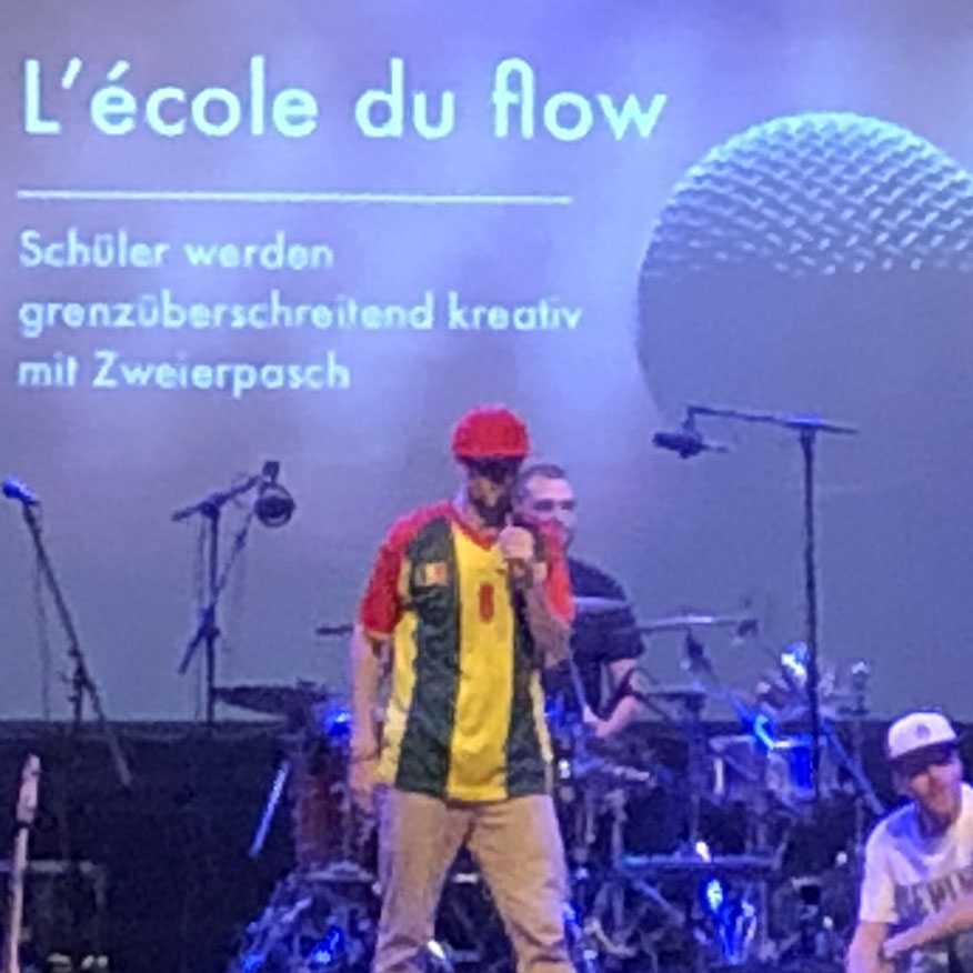 Ecole du Flow Icon